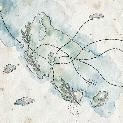 Regional sketch map of an archipelago laced with sea-routes shown as dashed curv