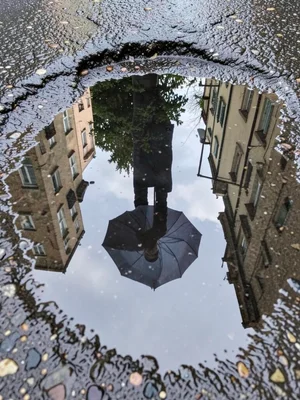 Upside-down reflection of person with umbrella in rain puddle, spring street