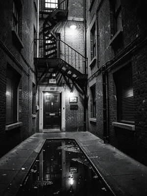Narrow alley off Dame Street, fire escape zigzagging up a brick wall, single bul
