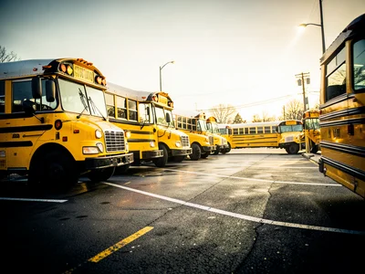 Line of school buses parked in lot, early morning, matching yellow
