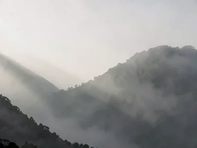 Shadow clarity in dense fog