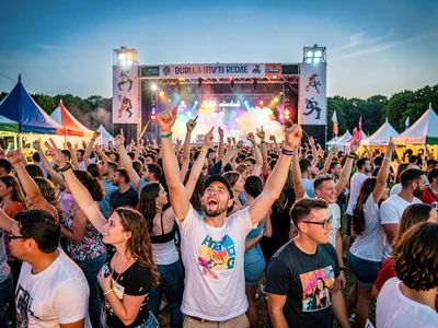 Festival crowd energy