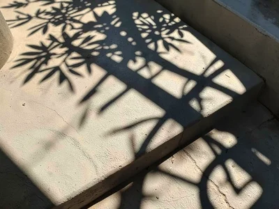 Siesta shadow patterns