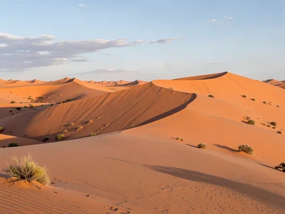 Sahara dune sea