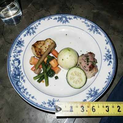 A family dinner plate photographed with evidence scale ruler