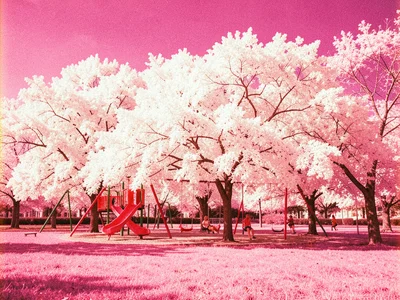 A public park with a white-foliaged canopy over a playground, kids on swings