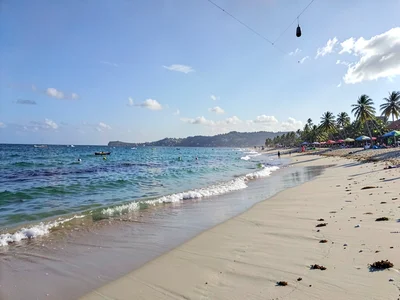 Beach coastline panoramic