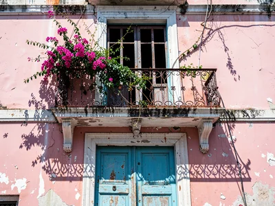 Balcony Vine Over Pink Door