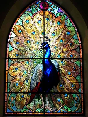 Tiffany peacock stained glass