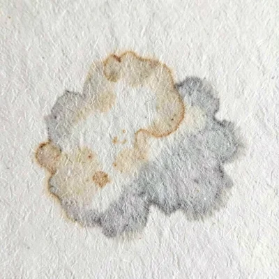 Water-stain bloom on handmade ivory paper drying into a faded grey halo bleeding