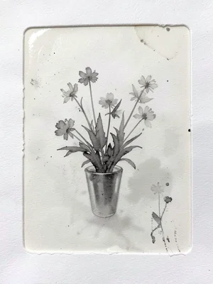 Ghost monoprint of spring bouquet, second pull showing faded floral impression