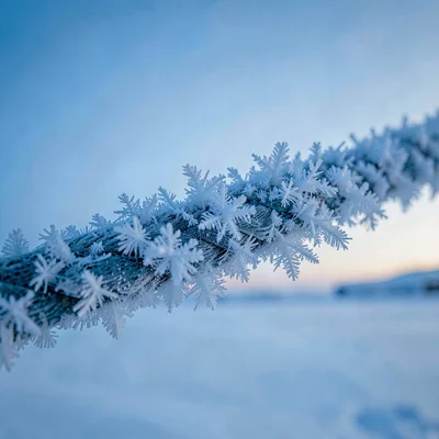 Arctic conditions photograph, extreme cold environment, Ice crystals formed on a