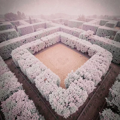 Formal hedge maze viewed from above with white hedges forming geometric paths ar