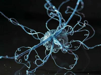 Ferrofluid forming fractal tendrils reaching toward sound source