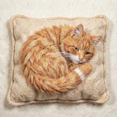 Fluffy orange cat on cushion