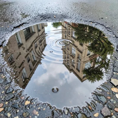 Shallow puddle ripple from single raindrop, concentric circles distorting reflec