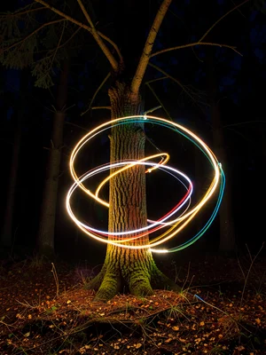 Spiral of warm white light painted around a tree in a dark forest