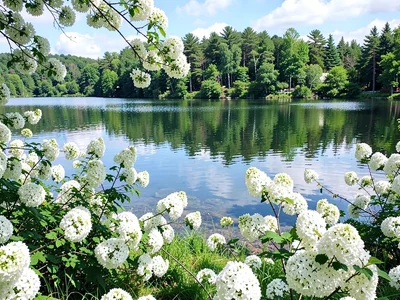 Lake with white foliage