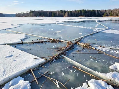 Debris on ice showing melt history
