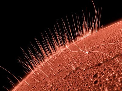 Spicule forest at solar limb, thousands of thin plasma jets shooting upward from