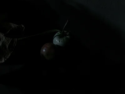 Still life with deep shadow