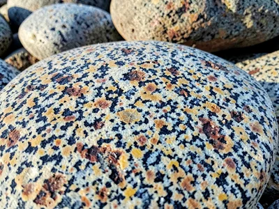 Beach granite rounded by wave action