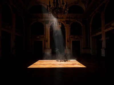 Empty grand ballroom under a single shaft of dust-laden light, parquet floor cat