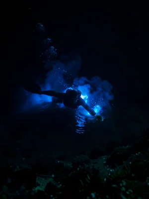 Night swimmer surrounded by blue glow — figure in dark water with luminous blue 