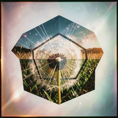 Radial line pattern merged with dandelion seed head, geometric rays matching nat