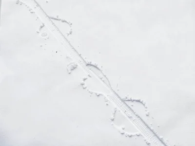 Ski tracks as only mark on white