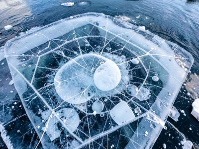 Methane bubble trapped in clear ice visible from above