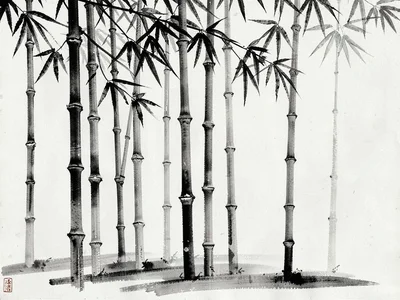 Bamboo stalks as vertical calligraphy strokes