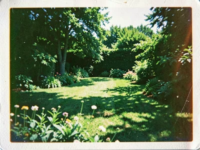 Garden with green shift in shadows