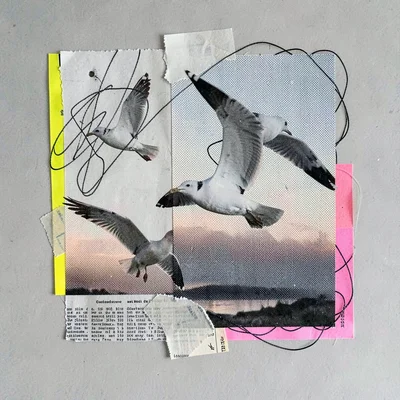 Cut-paper collage of three gulls drifting across a halftone dawn sky, deep ink-l