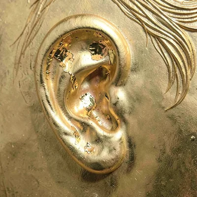 Close-up of a human ear with gold leaf covering the inner cartilage curves