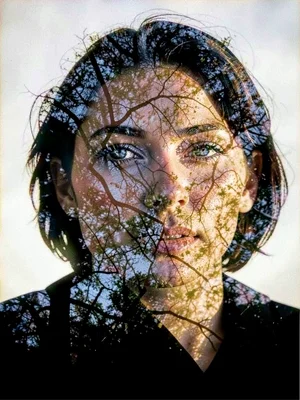 Forest canopy through face
