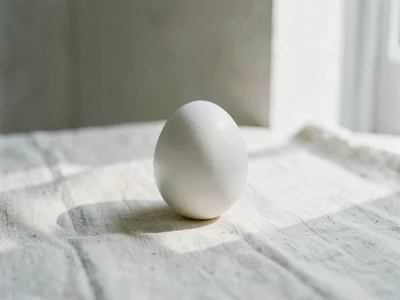 A single white egg rests on a pale linen surface, soft window light tracing the 
