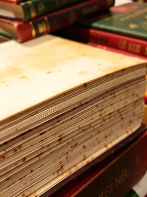 Stack of Christmas novels with gilded edges, holiday reading pile, warm light