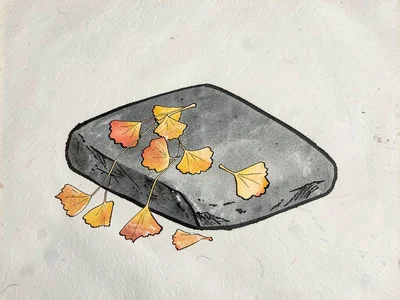 Autumn ginkgo leaves scattered on grey stone