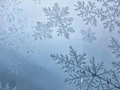 Frost pattern following temperature gradient