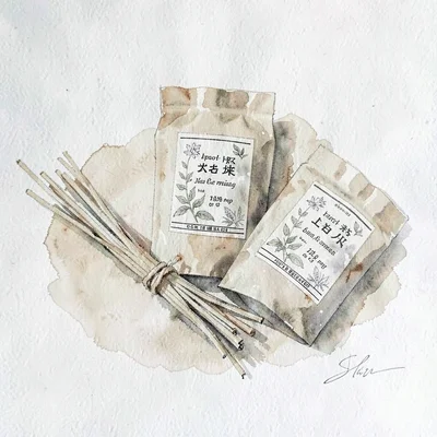 Gouache study of a seed packet still life with paper packets and tied bundles, s
