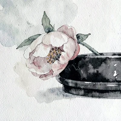 Painterly gouache of a single peony bloom drooping over a black lacquer rim, sof
