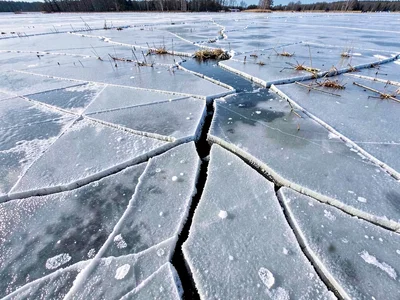 Crack pattern showing stress distribution