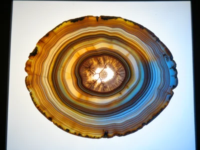 Fordite (Detroit agate) cross-section, layers of oven-baked automotive paint fro