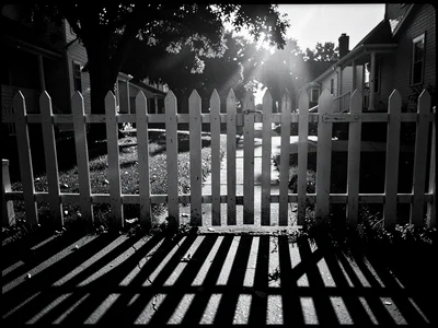 White picket fence with shadow pattern on sidewalk, the barrier between secrets