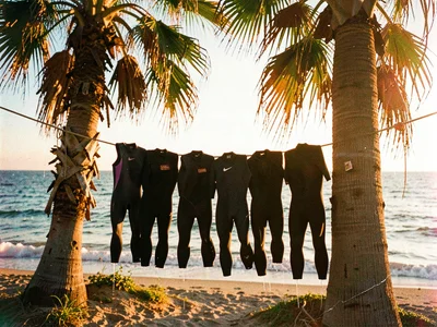 Wetsuits drying between palm trees