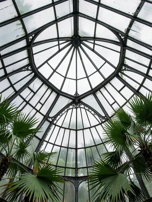 Radial Iron Ribs at Dome Crown