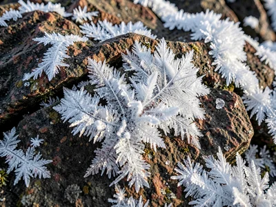 Rime ice formation on exposed rock face showing wind direction