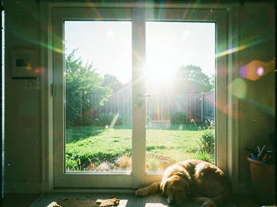 Sliding glass door of a backyard with sunlight blowing out the entire pane behin