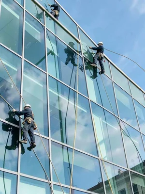 Window washers on a glass building, their ropes the only curves among right angl